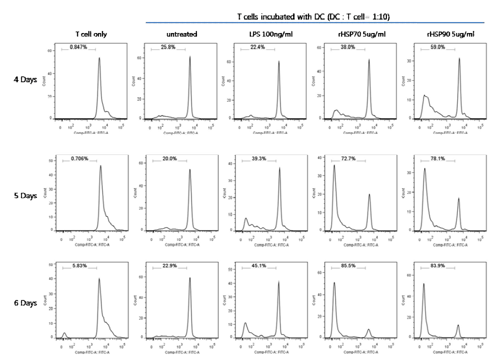 FITC-labeled T cells co-cultured with dendritic cells stimulated with rCsHSP70 or 90 were proliferated