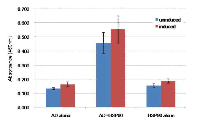 Effect of CsHSP90 immunization on splenocytes proliferation in mice