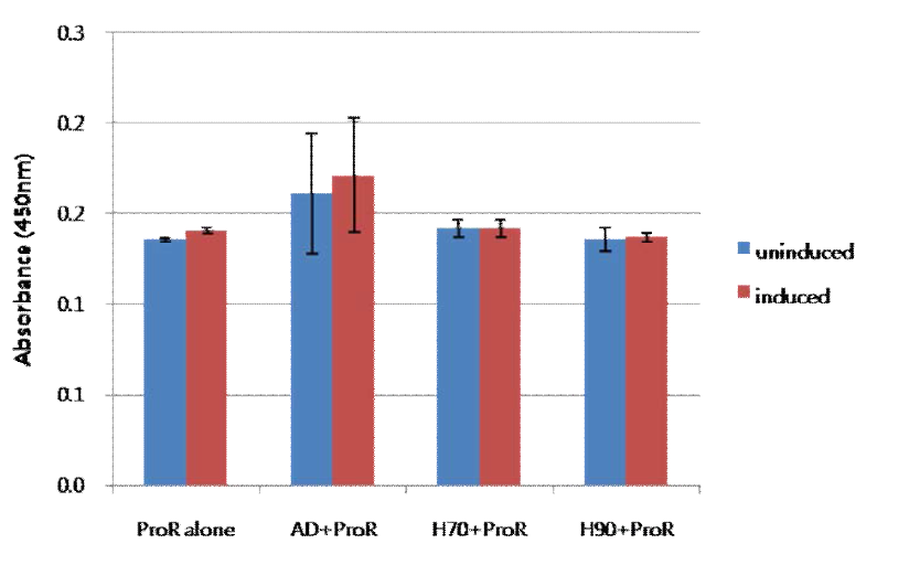 Effect of CsHSP/ProR peptide immunization on T cell proliferation in mice