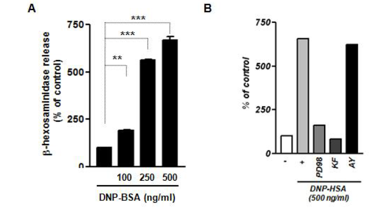 RBL-2H3 mast cell line에서 β-hexosaminindase assay 조건 정립