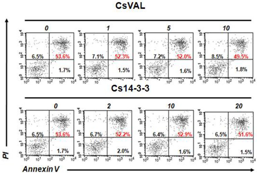 CsVAL과 Cs 14-3-3이 세포에 미치는 비특이적 독성 영향 평가