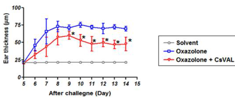 CsVAL 면역화에 따른 Oxazolone-induced CHS의 억제효과