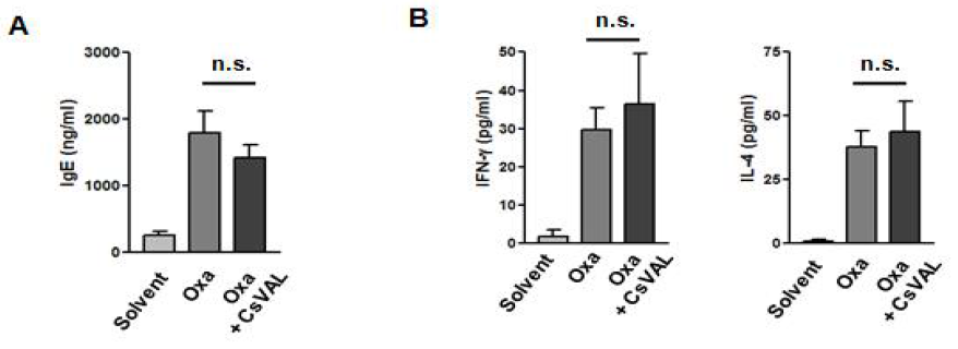 Oxazolone-induced CHS 동물 모델에서 CsVAL 면역화에 따른 CD4+CD25+FoxP3+ regulatory T cell 활성화에 미치는 영향 분석