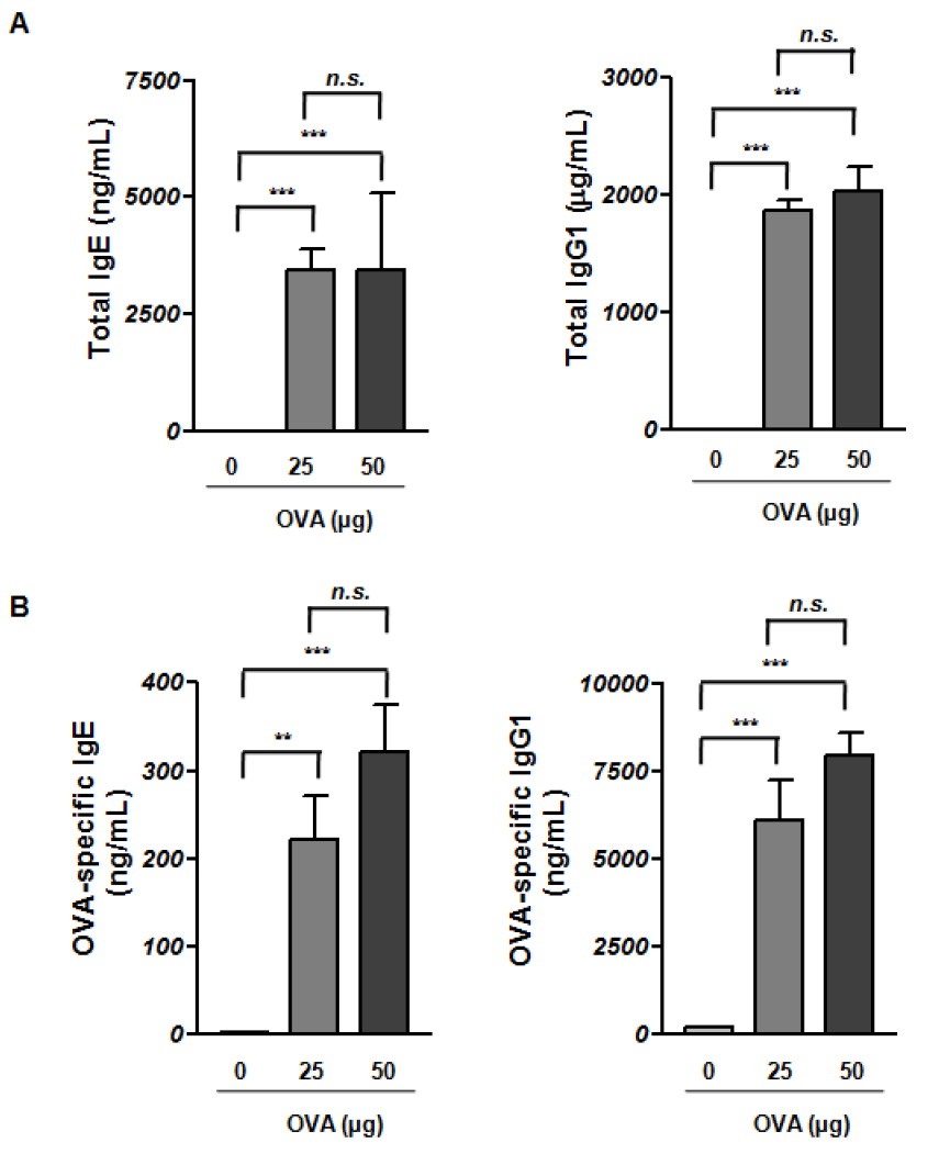 Ovalbumin을 이용한 알레르기성 비염 마우스 모델에서 serum 내 total lgE, lgG1 및 OVA-specific lgE, lgG1 정량 분석