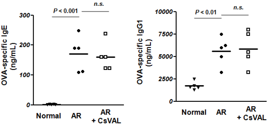 알레르기 비염 마우스 모델에서 CsVAL immunization이 OVA-specific lgE and lgG1 활성화에 미치는 영향