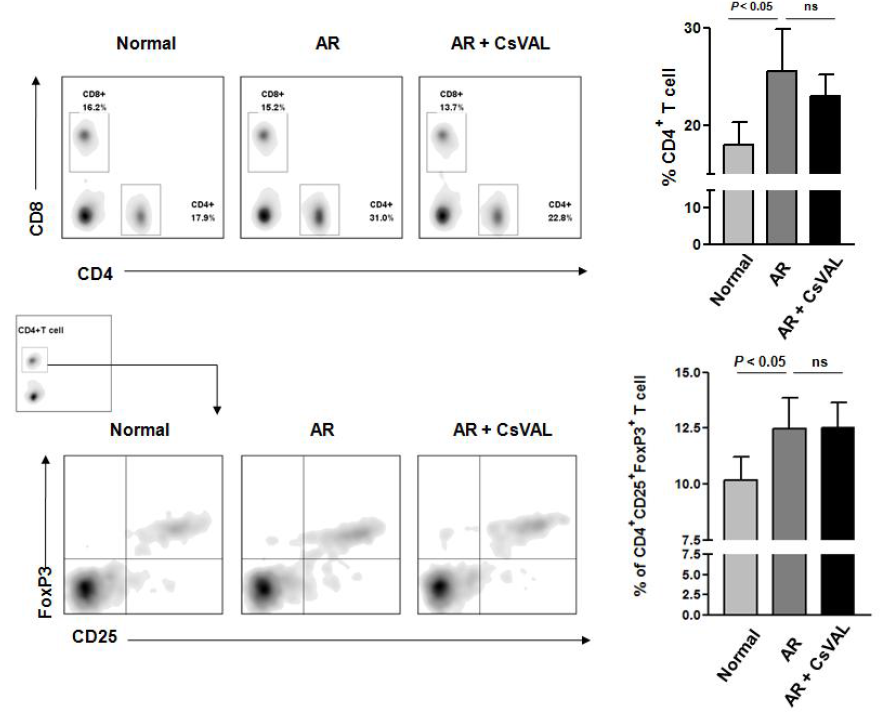 CsVAL immunization이 Effector T cell 및 CD4+CD25+FoxP3+ regulatory T cell 활성화에 미치는 영향