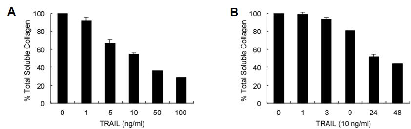 TRAIL 처리에 의한 LX-2 cell의 콜라젠 생성 감소