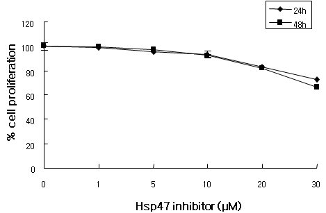 Hsp47 inhibitor 처리에 따른 LX-2 세포주 생장에 미치는 영향
