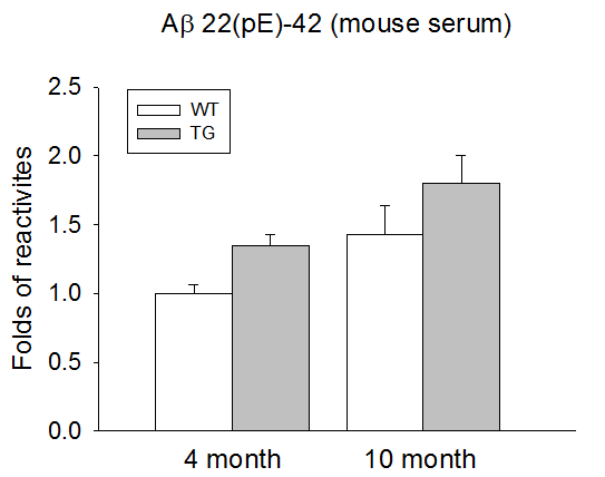 쥐의 혈액을 이용한 Aβ22(pE)-42 면역도 측정