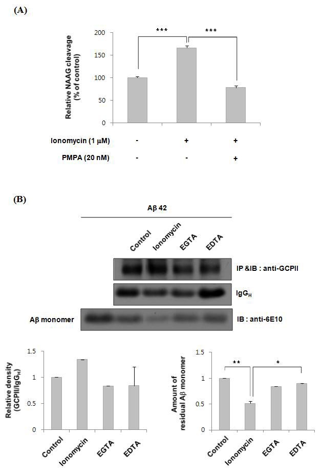 Ionomycin에 의한 GCPII의 효소활성 변화