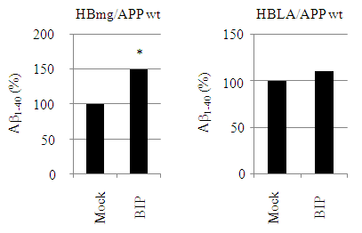 BIP 과발현에 따른 Aβ1-40의 생성양 변화 조사