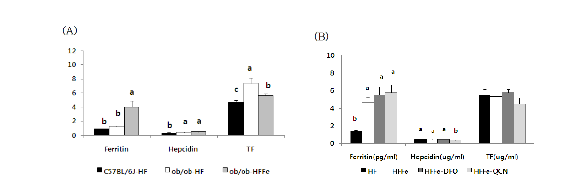 Palsma levels of ferritin, hepcidin and transferrin