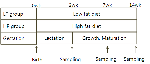 Experimental design