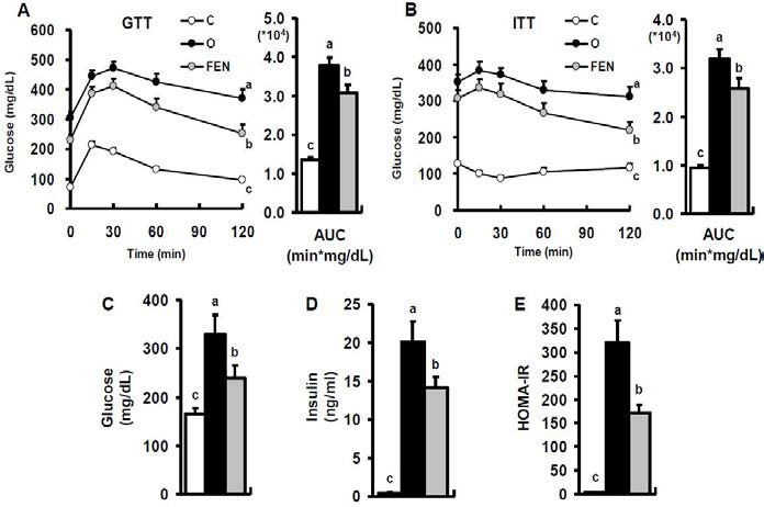 Effect of Fenretinidr on insulin sensitivity