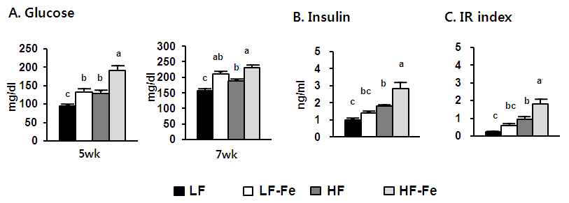 insulin resistance index