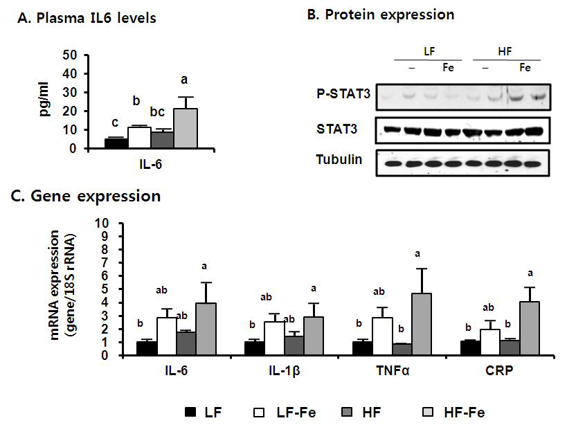 Inflammatory related metabolism