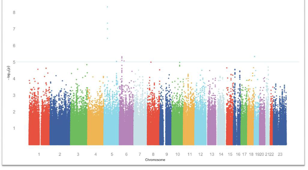 Manhattanplot for gastric cancer GWAS