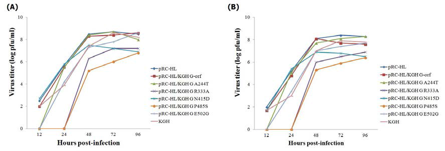 KGH glycoprotein 돌연변이 바이러스의 성장 곡선 비교