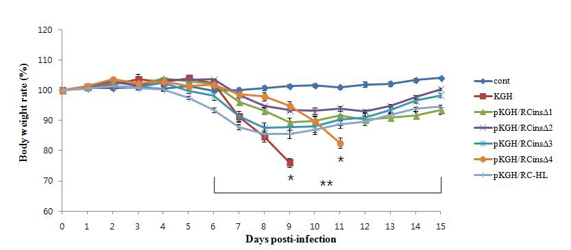 재조합 키메릭바이러스의 감염 마우스내 시간별 몸무게 변화 측정
