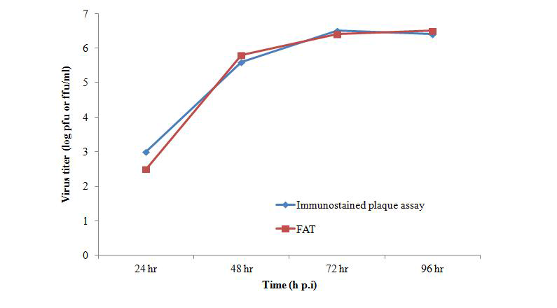 면역플락염색법과 FAT 시험법과의 바이러스 역가 비교