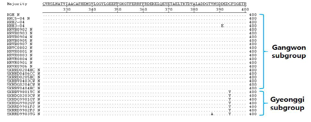 국내 동물에서 분리된 공수병바이러스의 N 단백의 아미노산 서열 비교