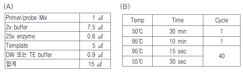 One-step Real-time RT-PCR 반응 조성 (A) 및 조건 (B)