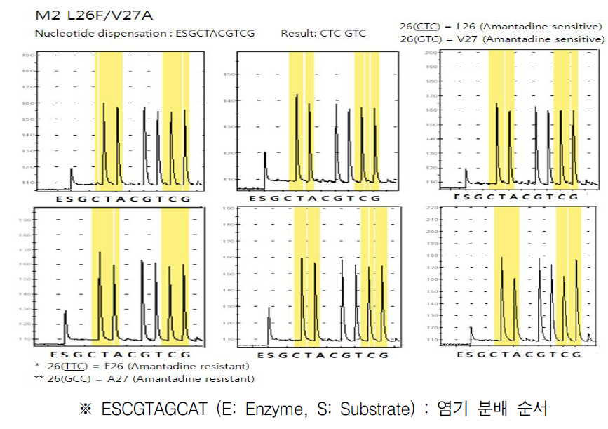L26F 및 V27A의 변이 검출 반응 파이로그램