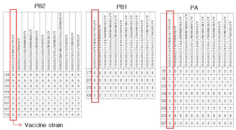 Polymerase gene (PB2, PB1, PA) 에서의 주요 아미노산 변이