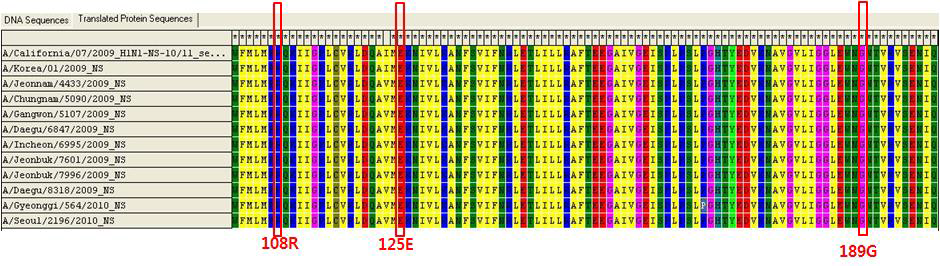 국내 분리주 NS1 유전자 서열 특징
