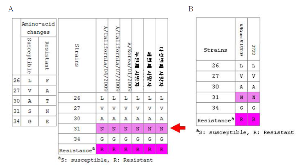 사망자(A) 및 첫 번째 내성환자(B)검체에서의 M2 유전자 내성관련 변이분석