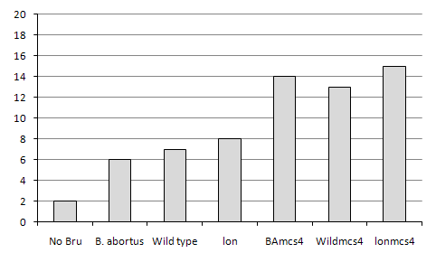 The comparisons of luminoscence intensity from pBBRmcs4 harboring brucella species in J774.A1 macrophage cell