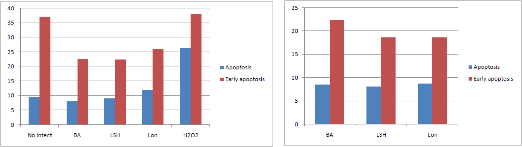 Comparison of ROS scavenging agent of J774A.1 infected with different strains of Brucella