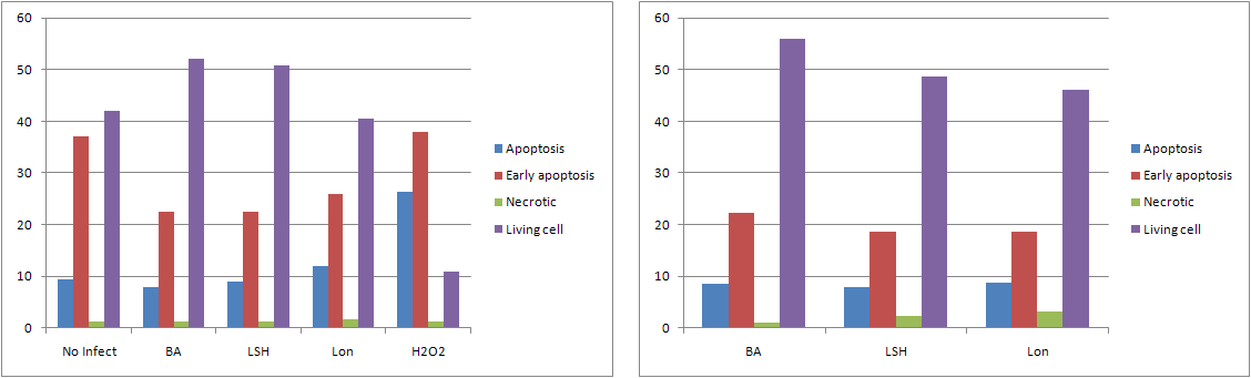 Comparison of ROS scavenging agent of J774A.1 infected with different strains of Brucella