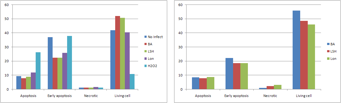 Comparison of ROS scavenging agent of J774A.1 infected with different strains of Brucella