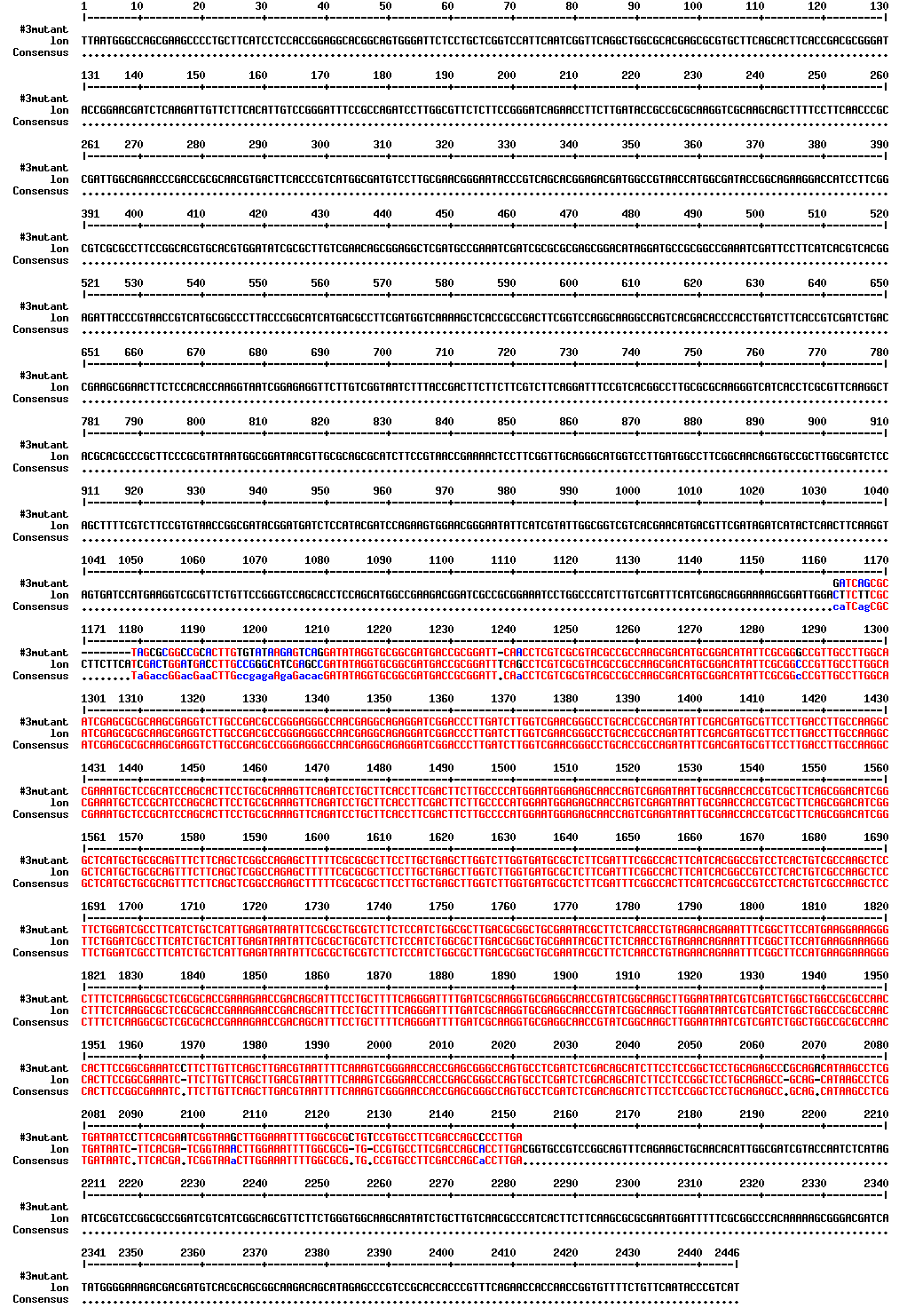 The result of sequence analysis and alignment between lon mutant and wild type B. abortus strain