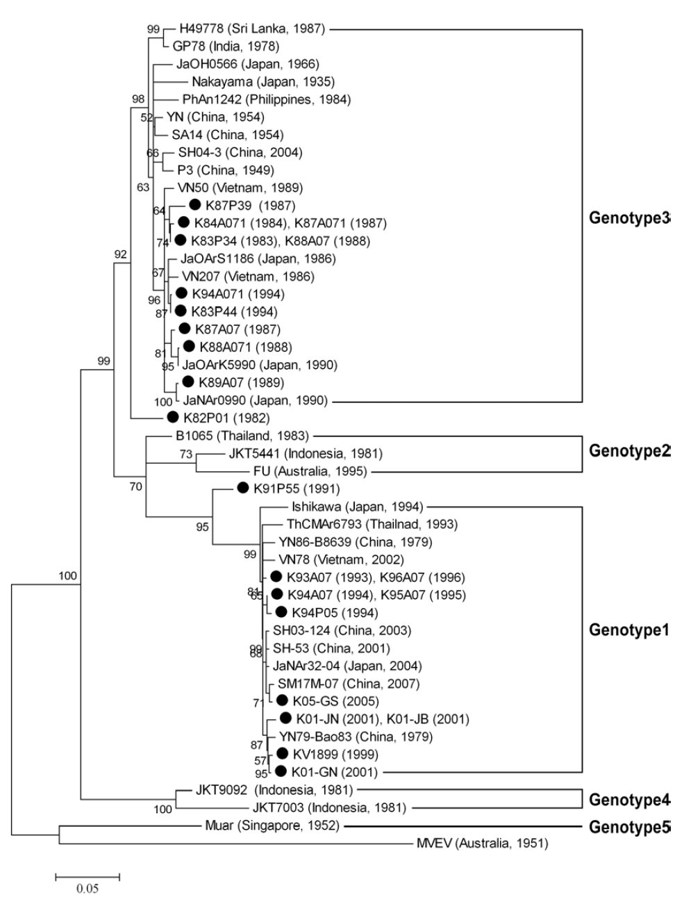 Maximum likelihood tree of 51 JEV strains representing four different genotypes, including 22 Korean strains