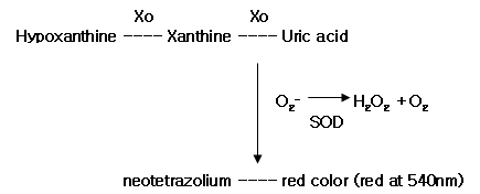 Xanthine and xanthine oxidase (Xo) assay system