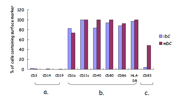 Identification of hMoDCs by flow cytometry