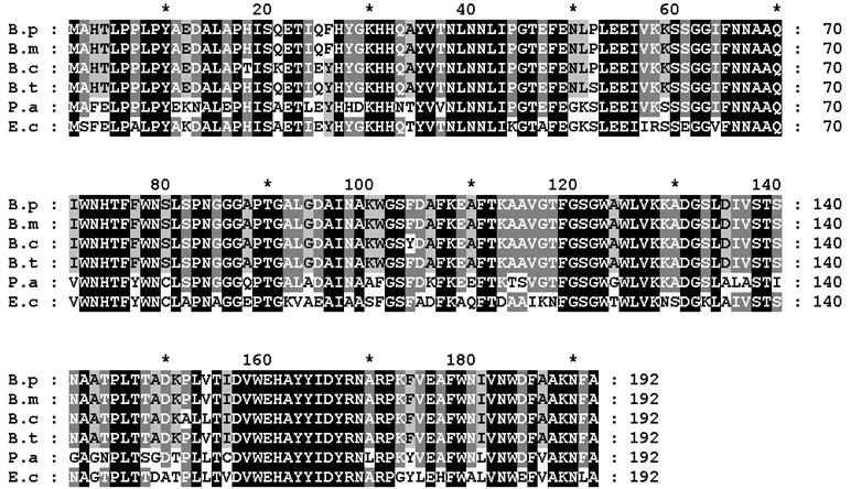 Sequence alignment of the deduced amino acid sequence of Fe-SOD of Burkholderia pseudomallei with those of other known bacterial Fe-SOD