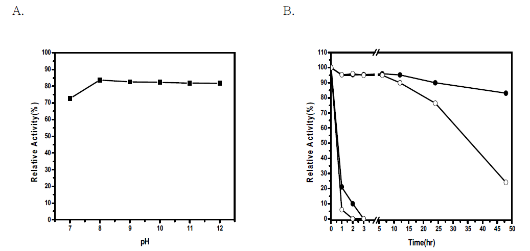 Characterization of expressed Fe-SOD of B. pseudomallei