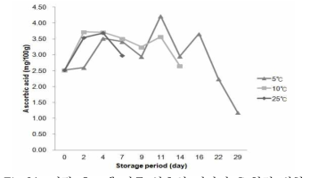 저장 온도에 따른 상추의 비타민 C 함량 변화.
