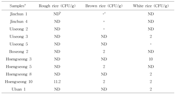 Presence of B. thuringiensis in rough rice, brown rice and white rice