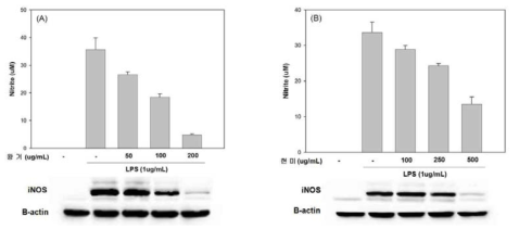 왕겨 및 현미 추출물의 NO생성 및 iNOS발현 억제 효과.