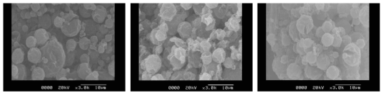 250회 재사용한 잠열재의 온도별 SEM (0, 5, 10℃)