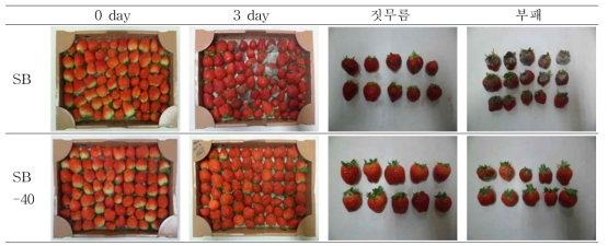 딸기의 저장 전후 비교.
