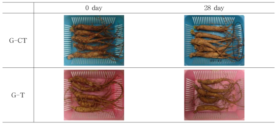 인삼의 저장 전후 외관 변위.