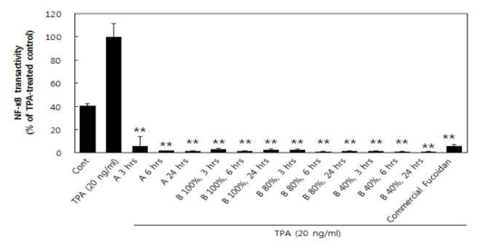 Effects of seaweeds (Sporopyll of Undaria pinnatifida) extracted with the ultrasonication on TPA-induced NF-κB signaling.