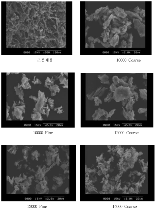SEM photographs of air-classified Sparassis crispa powder