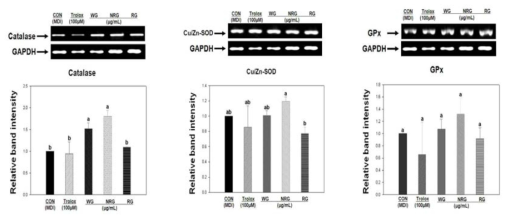 Effect of ginseng extracts sample on the mRNA expression of Catalase, GPx and Cu/Zn-SOD