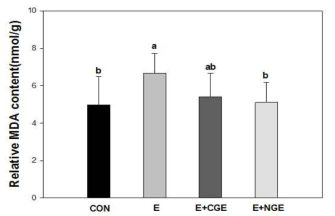 Effect of NGE on MDA content in liver. CON: Control, E: Exercise, CGE: